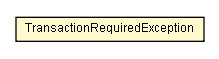 Package class diagram package TransactionRequiredException